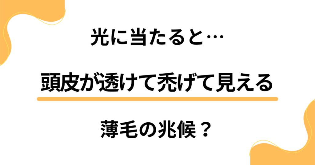 光に当たると頭皮が透けて禿げて見える。それって薄毛の兆候？