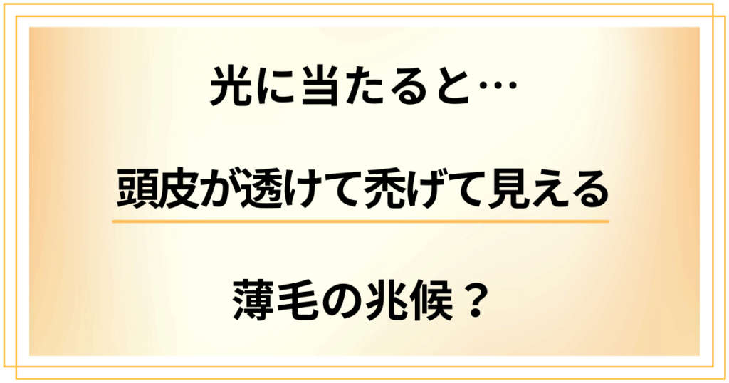 光に当たると頭皮が透けて禿げて見える。それって薄毛の兆候？