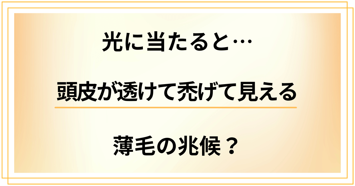 光に当たると頭皮が透けて禿げて見える。それって薄毛の兆候？