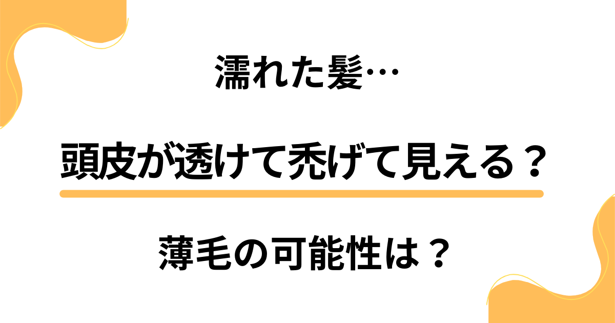 濡れた髪だと頭皮が透けて禿げて見える？薄毛の可能性と慌てない対処法