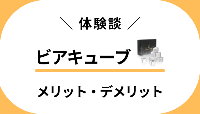 【体験談】ビアキューブを使って感じたメリット・デメリット