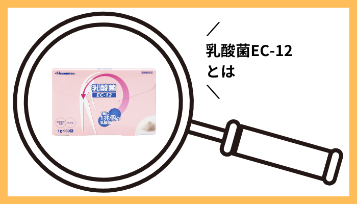 乳酸菌EC-12とは