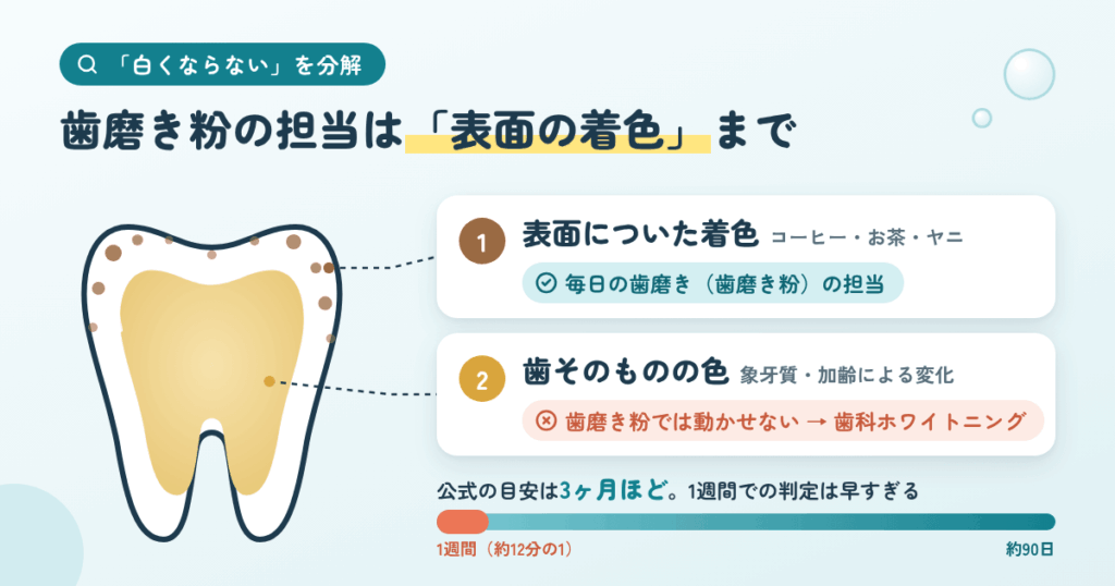 悪い口コミの本丸「白くならない」を分解する