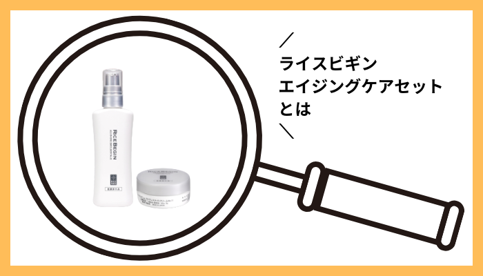 ライスビギン エイジングケアセットとは