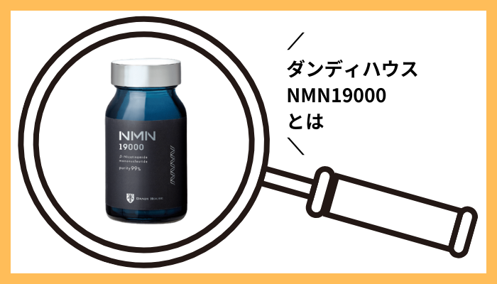 ダンディハウスNMN19000とは