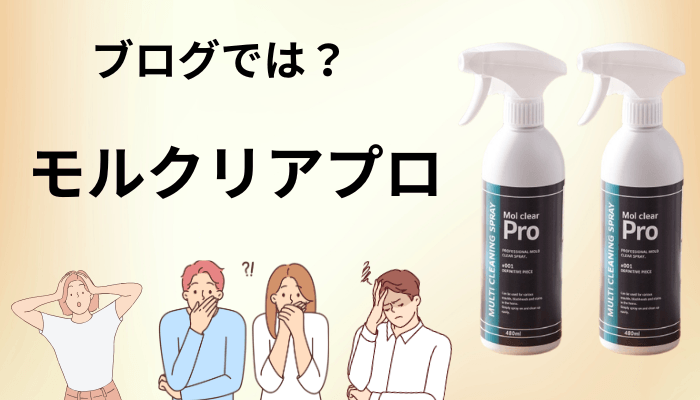 ブログのレビュー記事は、どこまで信じていいのか