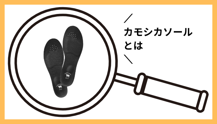 カモシカソールとは