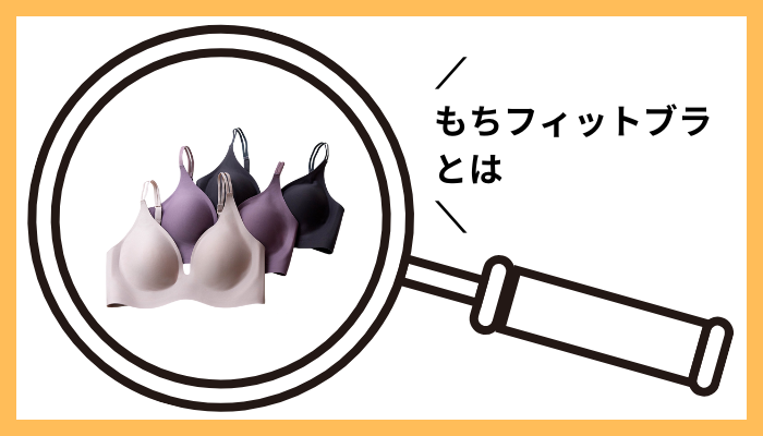 もちフィットブラとは