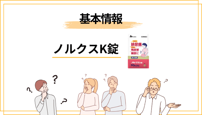 そもそもノルクスK錠ってどんな薬？基本情報と成分を確認