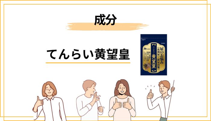 てんらい黄望皇の成分:八味地黄丸とはどんな処方なのか