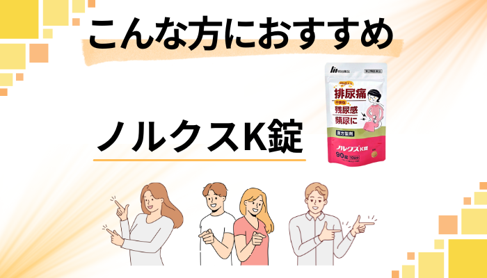 【まとめ】ノルクスK錠はこんな方におすすめ