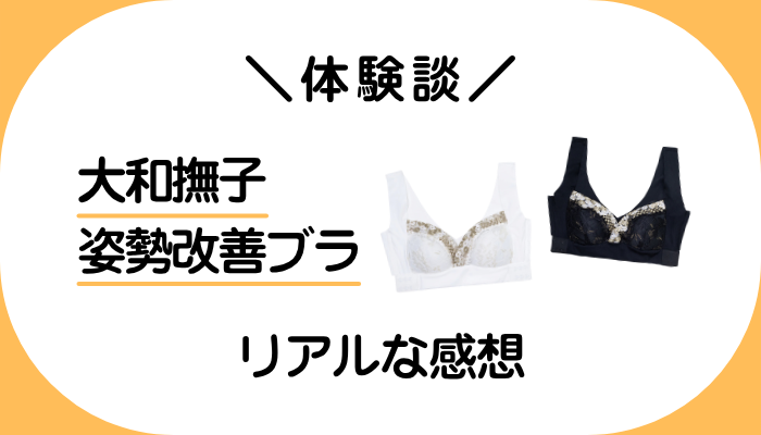 【体験談】大和撫子 姿勢改善ブラを使って感じたメリット・デメリット