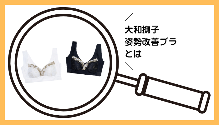 大和撫子 姿勢改善ブラ