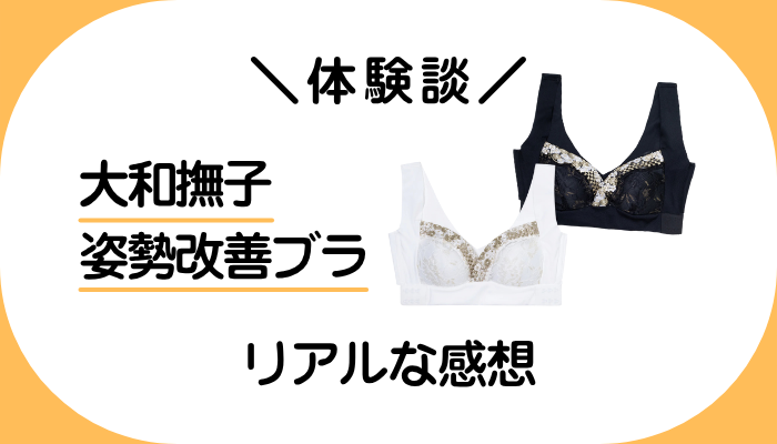 【体験談】大和撫子 姿勢改善ブラを使って感じたメリット・デメリット