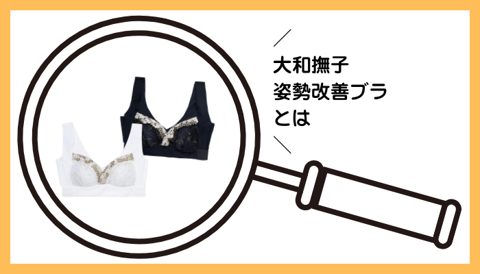 大和撫子 姿勢改善ブラ