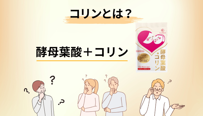 コリンとは何者か。日本に基準がない栄養素をどう考えるか