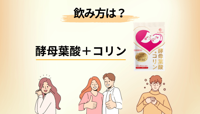 酵母葉酸＋コリンの飲み方と、半年続けるための設計