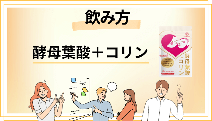 酵母葉酸+コリンの効果的な飲み方