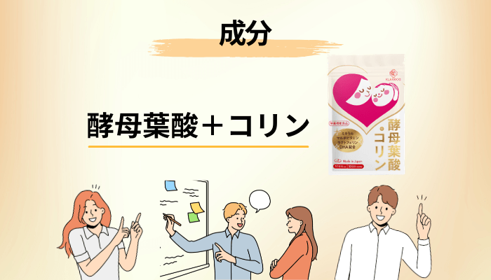 酵母葉酸＋コリンの成分を、数字で確かめてみる