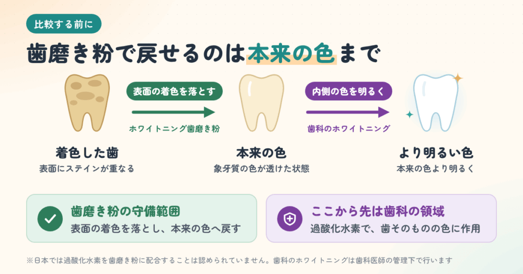 ホワイトニング歯磨き粉を比較する前に|「白くなる」効果の正体と歯医者のホワイトニングの違い