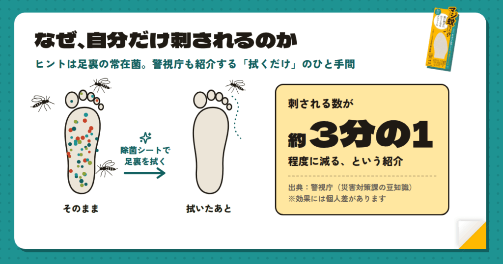 知恵袋にも並ぶ「なぜ自分だけ刺されるのか」問題と、足裏の菌