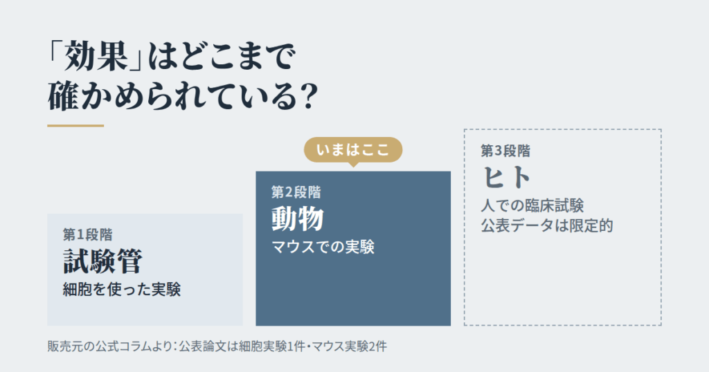 「効果」はどこまで確かめられているのか──認知症の話の出どころも確認します