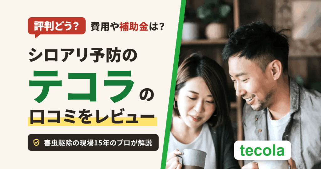 【評判どう？】費用や補助金は？シロアリ予防のテコラの口コミをレビュー