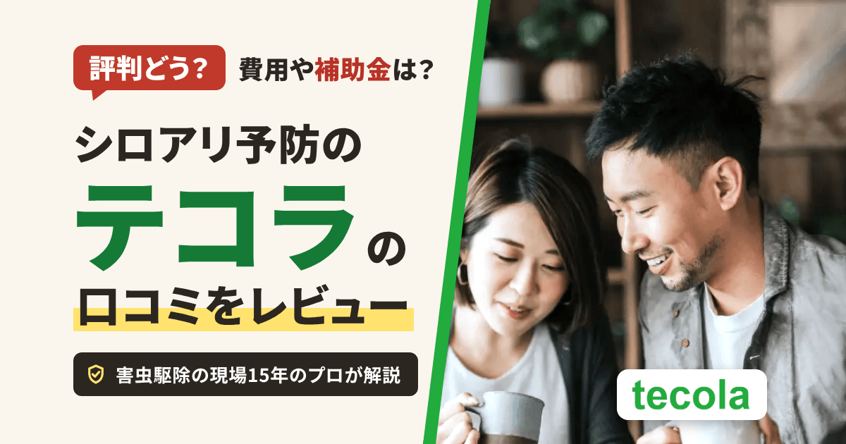 【評判どう？】費用や補助金は？シロアリ予防のテコラの口コミをレビュー