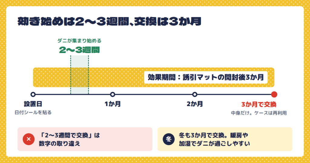 効果が出るまでの期間と交換時期|期限は何か月?