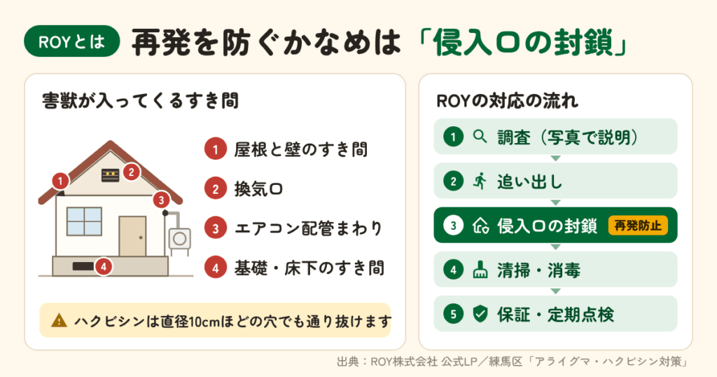 害獣駆除サービス ROYとは?一級建築士事務所が「侵入口」から直す駆除業者