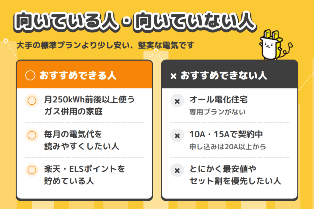TERASELでんきの結論|おすすめできる人・できない人