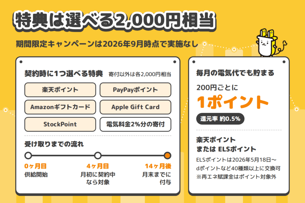 TERASELでんきの楽天ポイント・キャンペーン・支払い方法